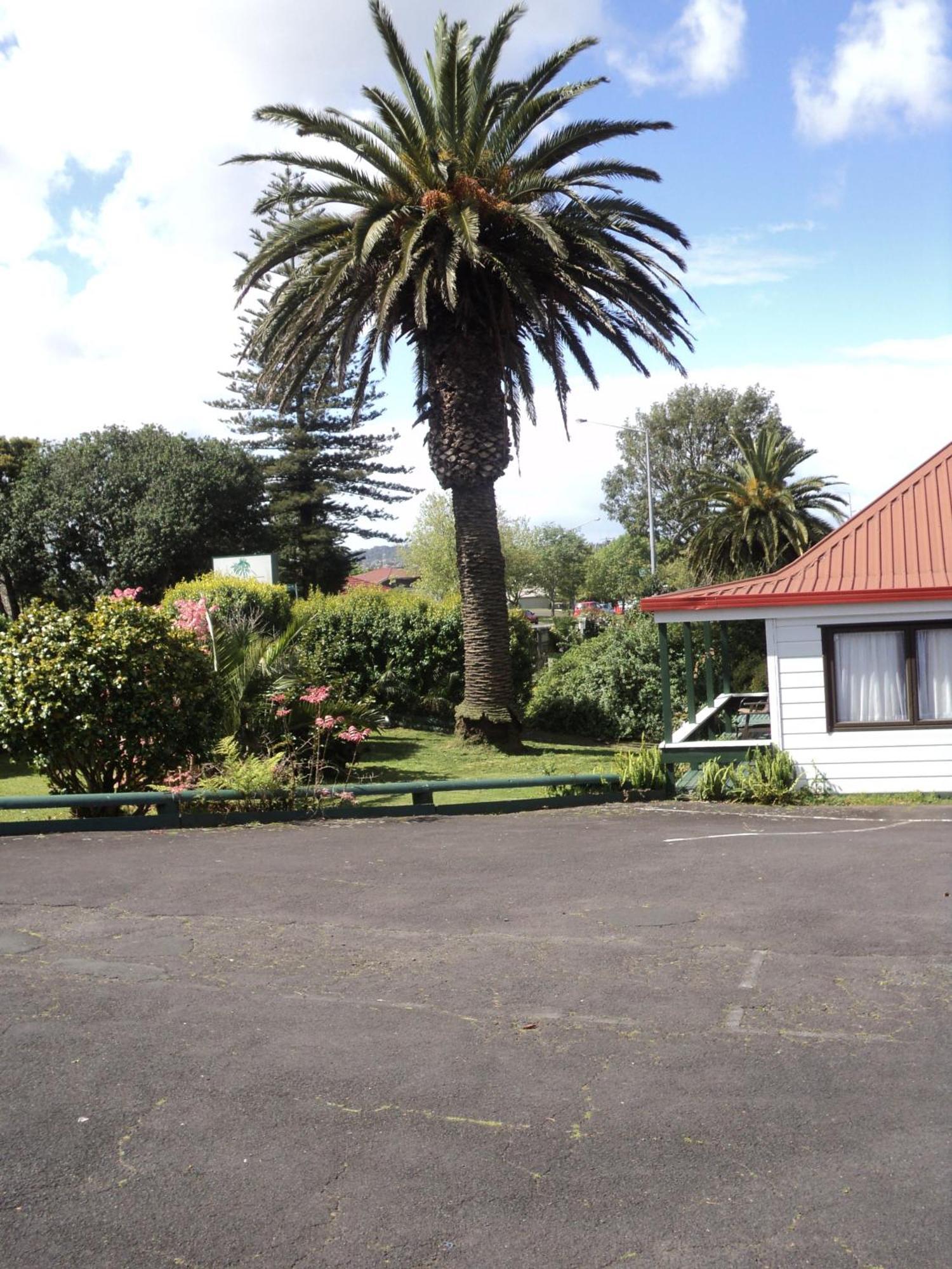 New Haven Motel Auckland Esterno foto