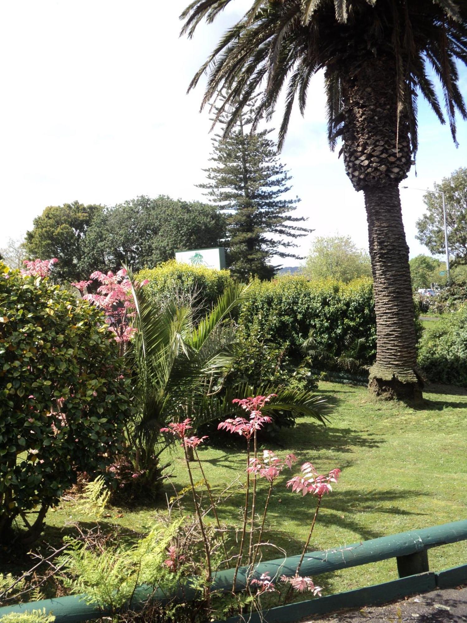 New Haven Motel Auckland Esterno foto